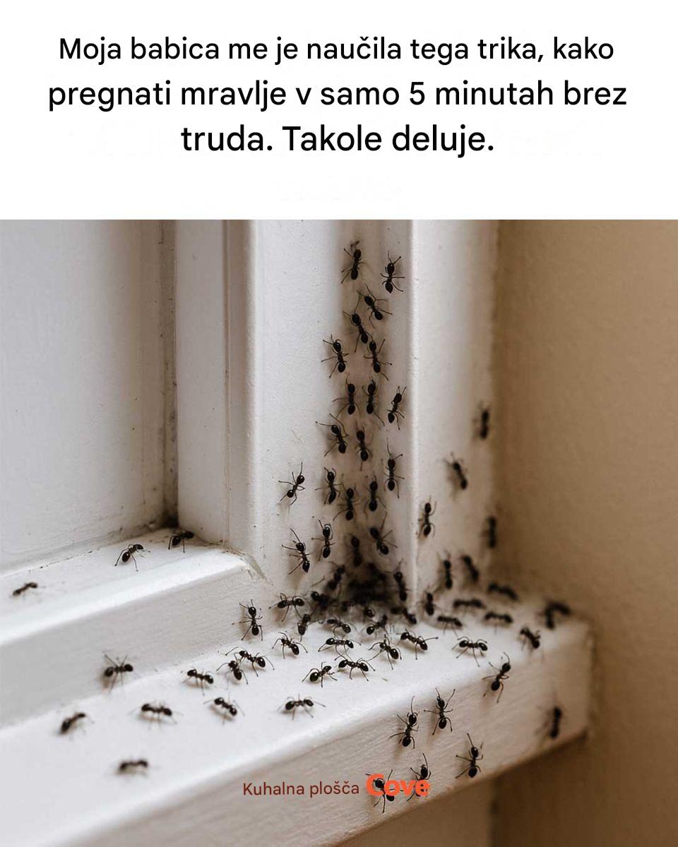 Vau
