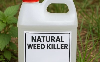 My Nana Swears by This DIY Weed Killer Recipe. Here’s How It Works