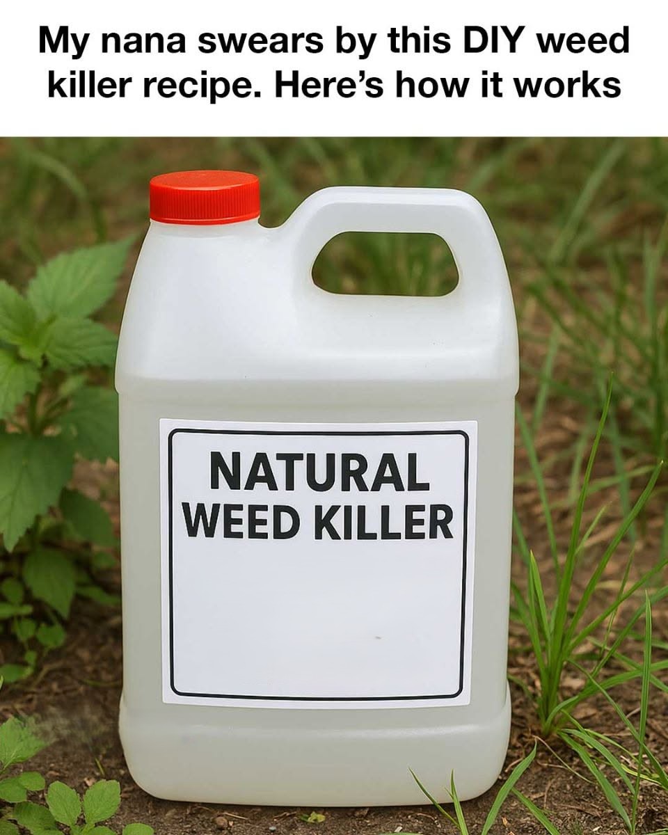 My Nana Swears by This DIY Weed Killer Recipe. Here’s How It Works