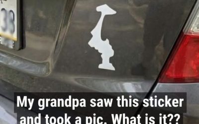 Why Drivers Display This Upside-Down Sticker on Their Cars: The Quirky, Meaningful Trend Behind Washington’s Flipped State Outline