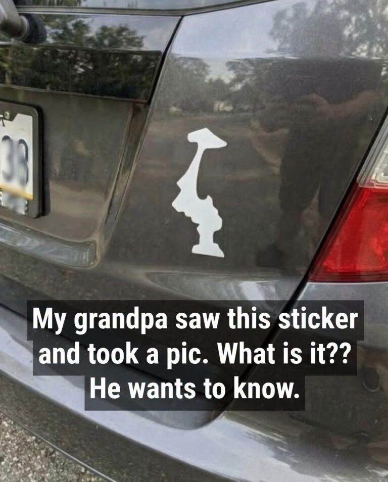 Why Drivers Display This Upside-Down Sticker on Their Cars: The Quirky, Meaningful Trend Behind Washington’s Flipped State Outline