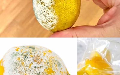 Kako ohraniti limone dlje časa sveže in preprečiti njihovo kvarjenje? 4 preprosti nasveti
