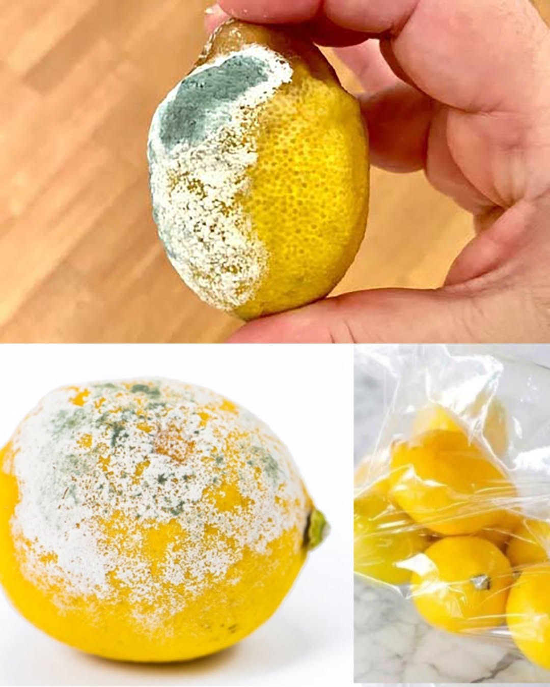 Kako ohraniti limone dlje časa sveže in preprečiti njihovo kvarjenje? 4 preprosti nasveti