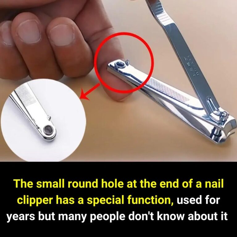 The Hidden Function of the Small Hole in a Nail Clipper