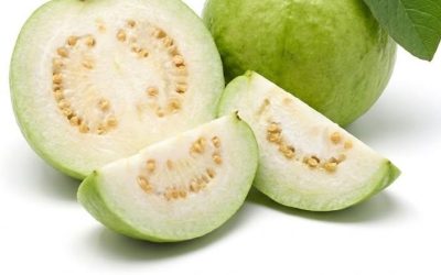 Zdravniki razkrivajo, da čaj iz listov guave povzroča nepričakovane učinke na zdravje, pri čemer odkrivajo presenetljive koristi in morebitna tveganja, povezana s prebavo, ravnovesjem krvnega sladkorja, uravnavanjem telesne teže, izboljšanjem kože in podporo imunskemu sistemu, strokovnjaki pa pojasnjujejo, kako lahko to naravno zdravilo vpliva na telo na načine, ki jih mnogi ljudje spregledajo ali napačno razumejo, če ga uživamo redno skozi čas.