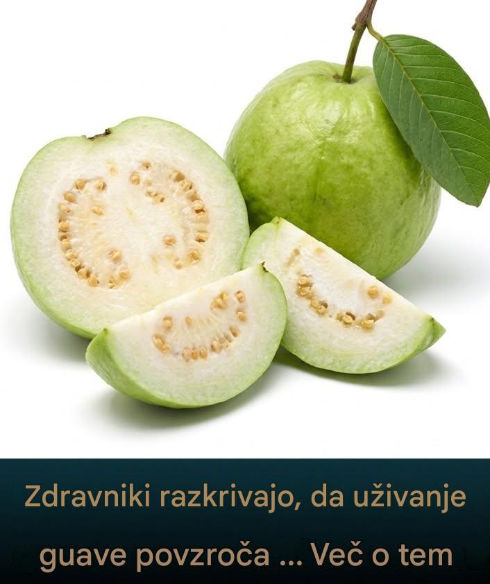 Zdravniki razkrivajo, da čaj iz listov guave povzroča nepričakovane učinke na zdravje, pri čemer odkrivajo presenetljive koristi in morebitna tveganja, povezana s prebavo, ravnovesjem krvnega sladkorja, uravnavanjem telesne teže, izboljšanjem kože in podporo imunskemu sistemu, strokovnjaki pa pojasnjujejo, kako lahko to naravno zdravilo vpliva na telo na načine, ki jih mnogi ljudje spregledajo ali napačno razumejo, če ga uživamo redno skozi čas.