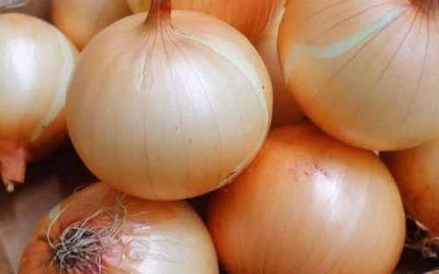 Zdravstvene koristi rednega uživanja čebule
