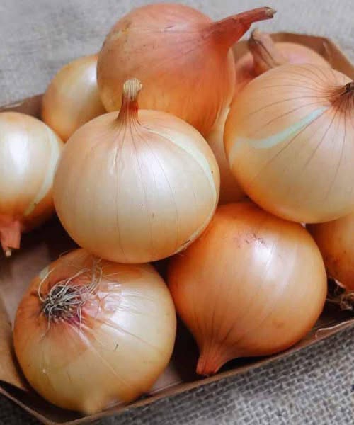 Zdravstvene koristi rednega uživanja čebule