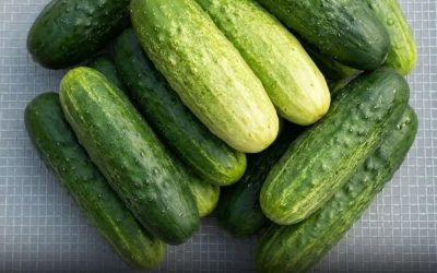 Zdravniki razkrivajo, da uživanje kumar v solatah povzroča …