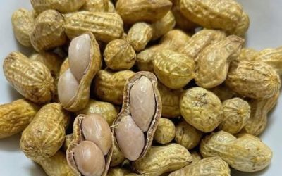 Arašidi so lahko hranljiv dodatek k prehrani starejših odraslih, saj zagotavljajo kombinacijo beljakovin, zdravih maščob, vitaminov in mineralov, ki podpirajo splošno zdravje in energijo.