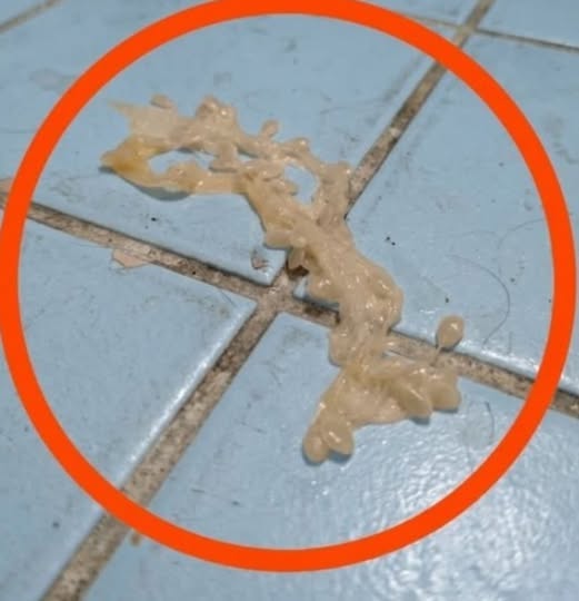 Danes zjutraj sem to našel v kopalnici moje punce.