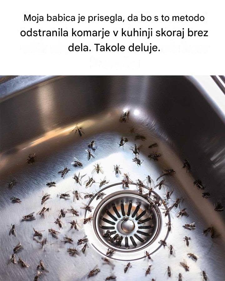 Preprost trik, kako se znebiti komarjev v kuhinji