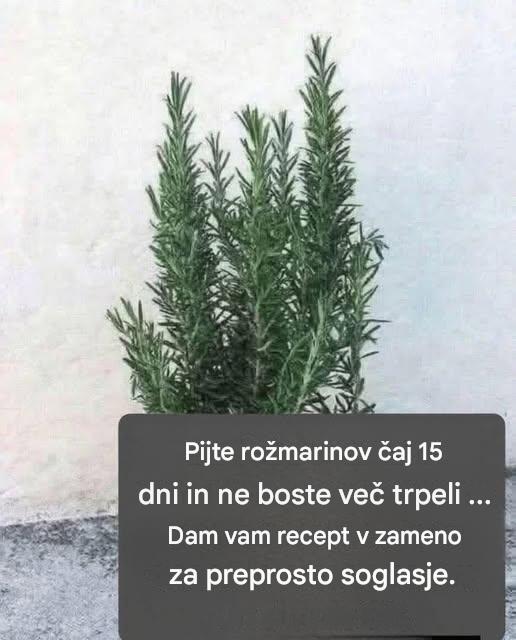 Imenuje se naravni morfij, ker lajša bolečine v mišicah, sklepih in revmatične bolečine. Če želite še naprej prejemati moje recepte, preprosto recite … Hvala!