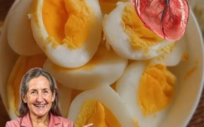 Dokazane zdravstvene koristi uživanja jajc na podlagi dokazov