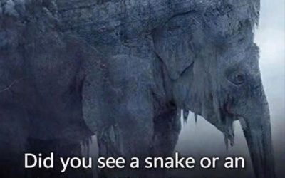 Snake or Elephant? This Viral Optical Illusion Claims to Reveal How You See the Future
