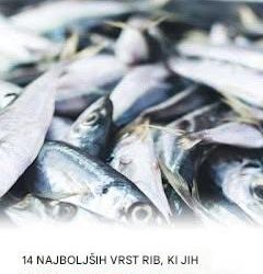 OPOZORILO – TAKOJ NEHAJTE JESTI TO RIBO: POPOLNO ZDRAVSTVENO OPOZORILO IN ZNANOSTVENI PREGLED (KAJ MORATE VEDETI, PREDEN BO PREPOZNO)