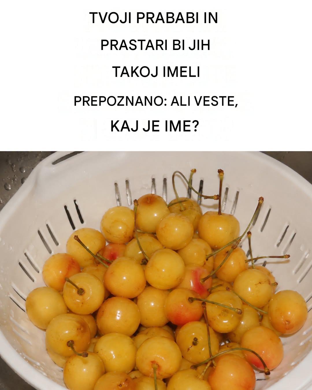Skoraj pozabljene, a okusne in polne koristi: bele češnje