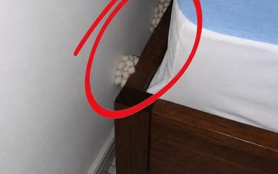 Domov sem prišel izčrpan z upanjem na mirno noč, a ena podrobnost mi je povedala, da je nekaj narobe.