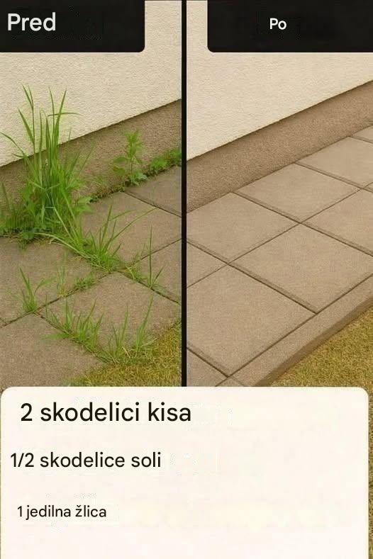 Kako narediti super učinkovit domači herbicid