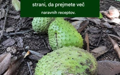 Kronične bolezni? Odkrijte zdravilno moč soursop-a
