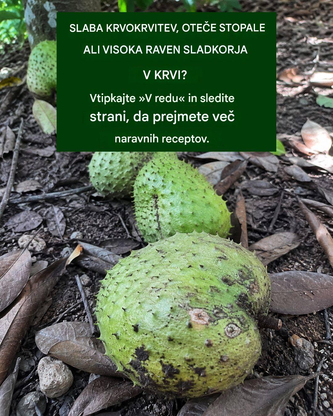 Kronične bolezni? Odkrijte zdravilno moč soursop-a
