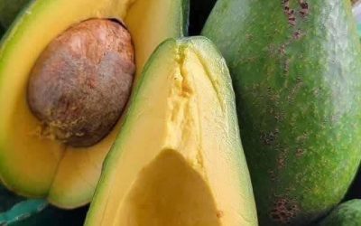 Avokado: koristi, tveganja in kaj se zgodi, če ga jeste preveč