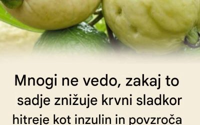 Zdravniki razkrivajo, da če imate to sadje doma, imate pravi zaklad. Tukaj vam povem, zakaj in kako ga jesti.