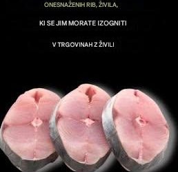 12 najbolj onesnaženih rib, ki se jim je treba izogniti v trgovini z živili