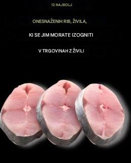 12 najbolj onesnaženih rib, ki se jim je treba izogniti v trgovini z živili