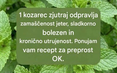 Sok poprove mete z limono: osvežilna pijača za prebavo in vsakodnevno dobro počutje