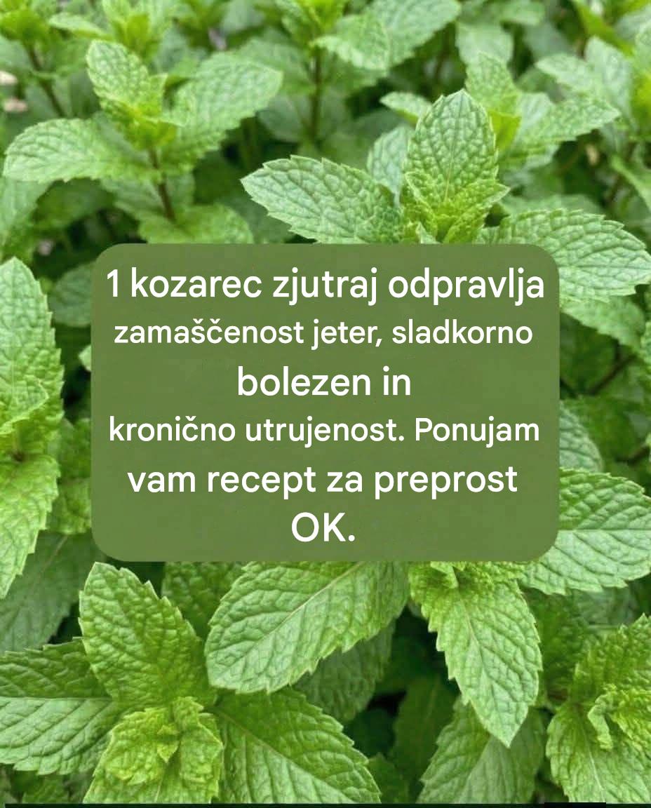 Sok poprove mete z limono: osvežilna pijača za prebavo in vsakodnevno dobro počutje