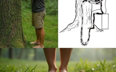 Večina ljudi se ne zaveda, kako močan je lahko dotik drevesa bos.