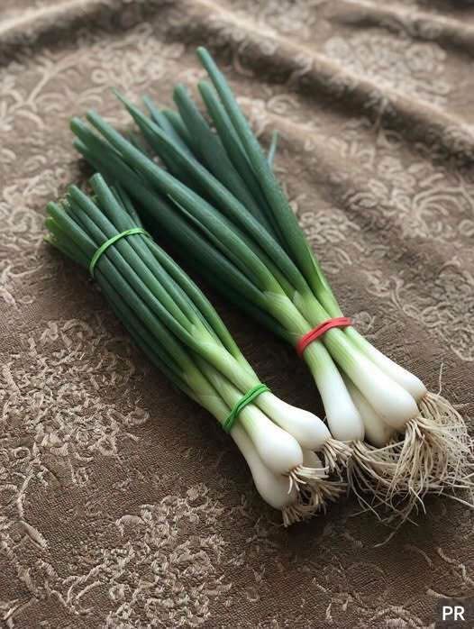 Razlika med mlado čebulo, mlado čebulo, mlado čebulo in drobnjakom, pojasnjena