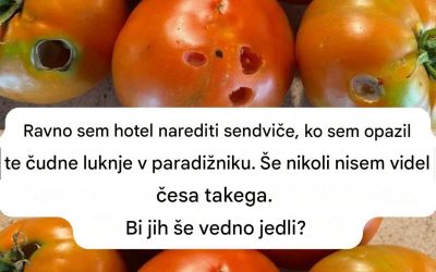 Kaj pomeni, če v paradižniku vidite te luknje
