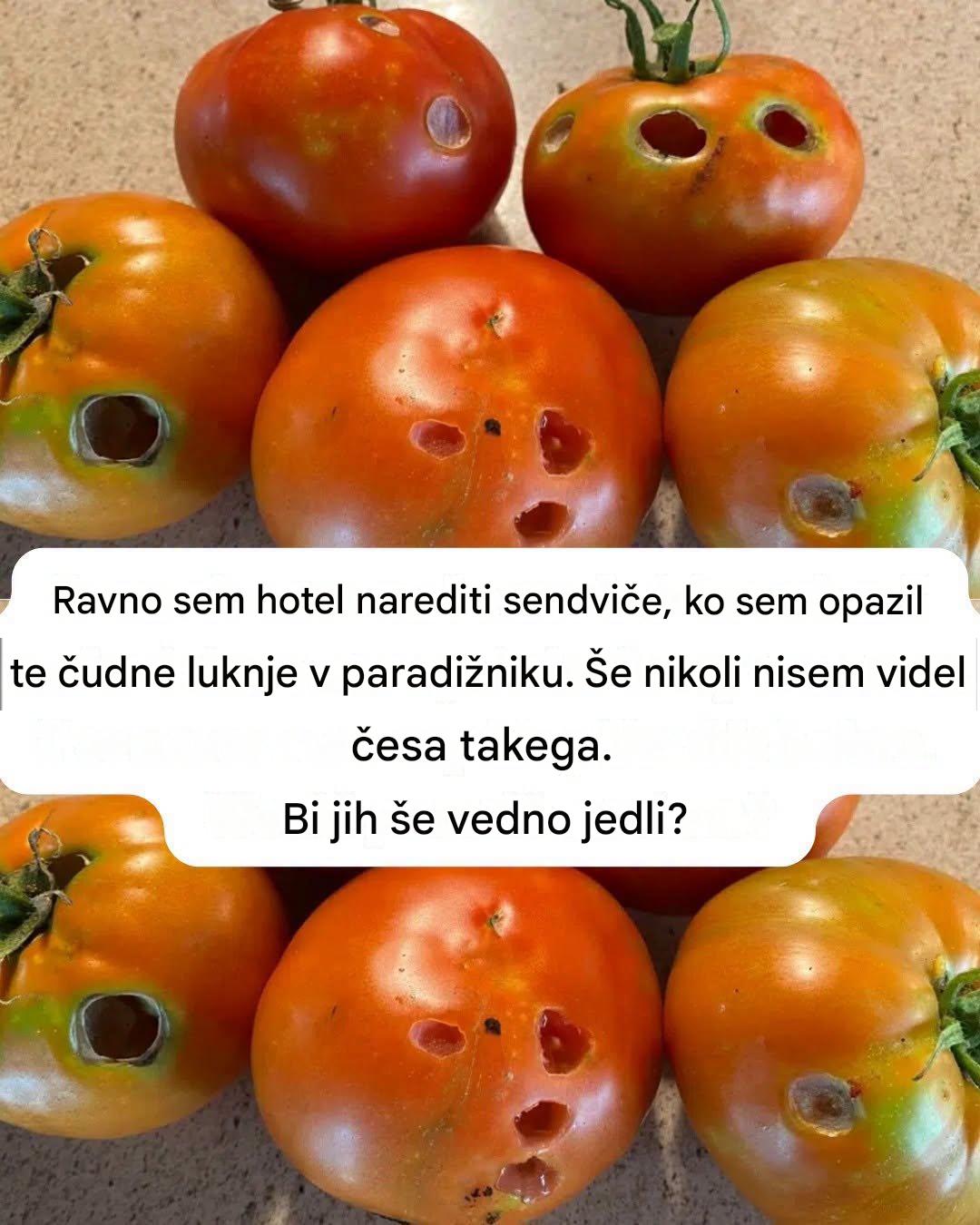 Kaj pomeni, če v paradižniku vidite te luknje