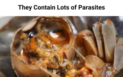 “Doctors warn: Limit eating these 4 foods immediately, they contain a lot of parasites” is spreading online?
