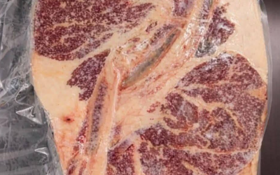 Popoln ribeye zrezek s kostjo (restavracijske kakovosti doma) Če iščete vrhunsko izkušnjo z zrezkom, je ribeye zrezek s kostjo težko premagati. Bogato