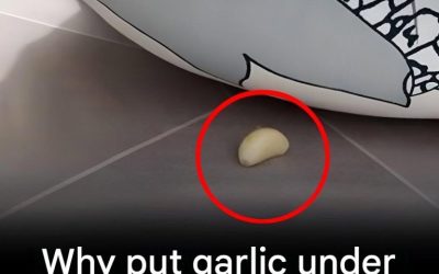 Why is it worth putting garlic under your pillow at night?