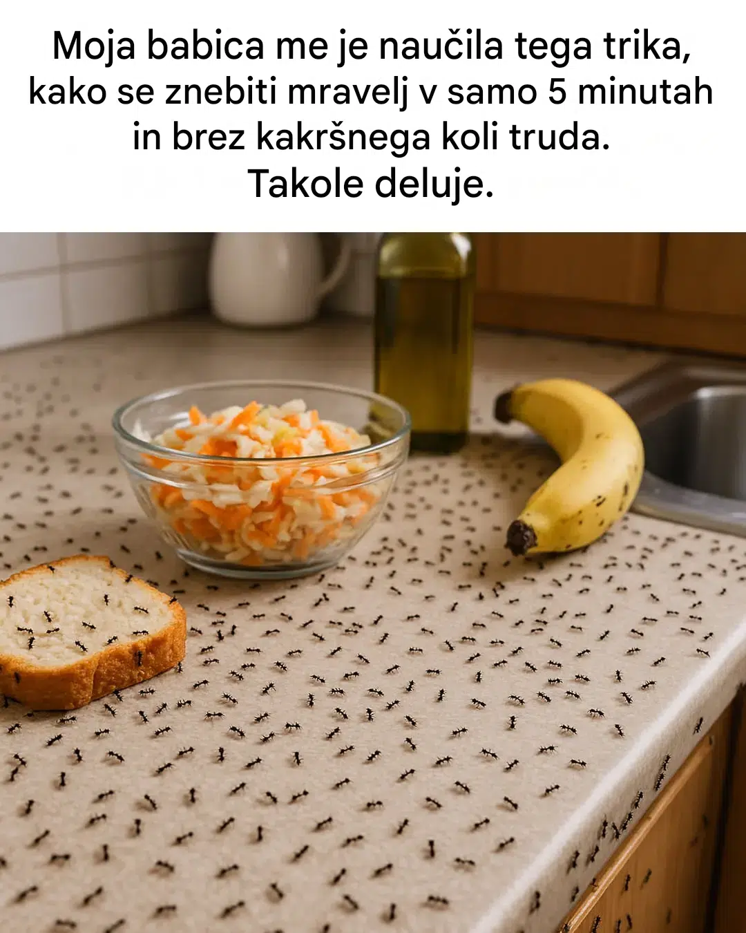 Babičin nasvet: Odganjajte mravlje naravno in brez toksinov