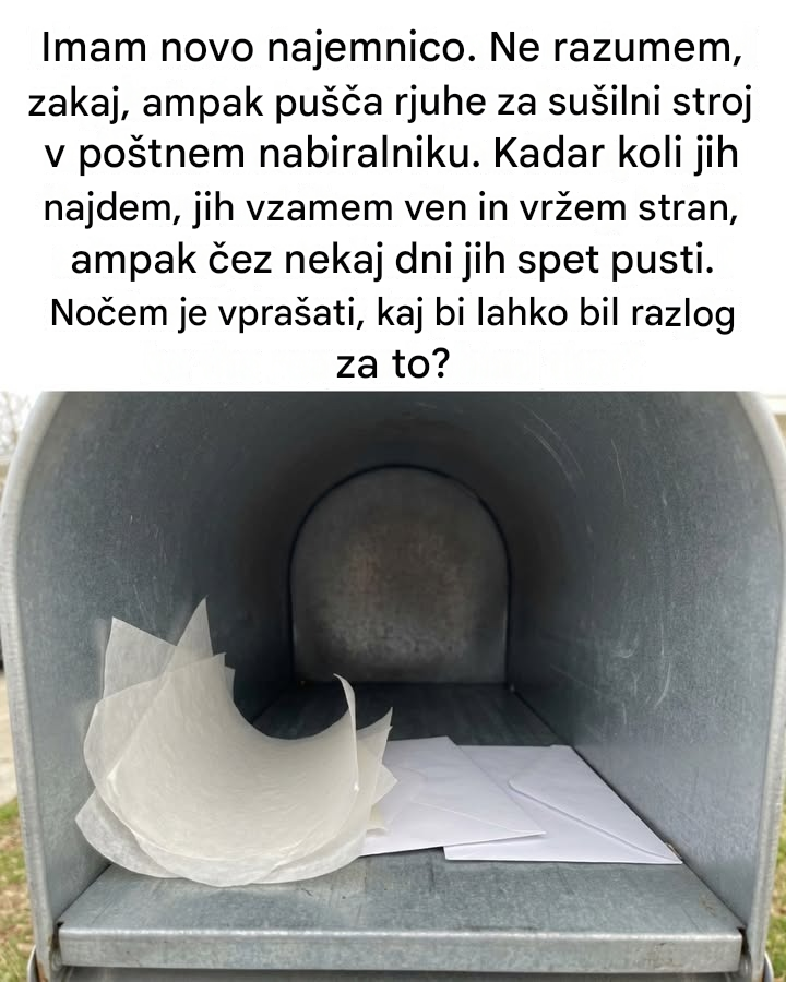 Zakaj bi poleti lahko našli sušilni list v nabiralniku