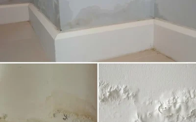 Dvig vlage: preprosta in ekonomična metoda za enkratno popravilo sten z lastnimi rokami