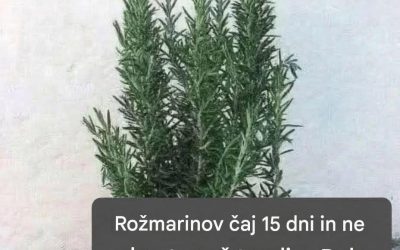 Imenuje se naravni morfij, ker lajša bolečine v mišicah in revmatičnih sklepih. Če želite še naprej prejemati moja zdravila na recept, morate le povedati …