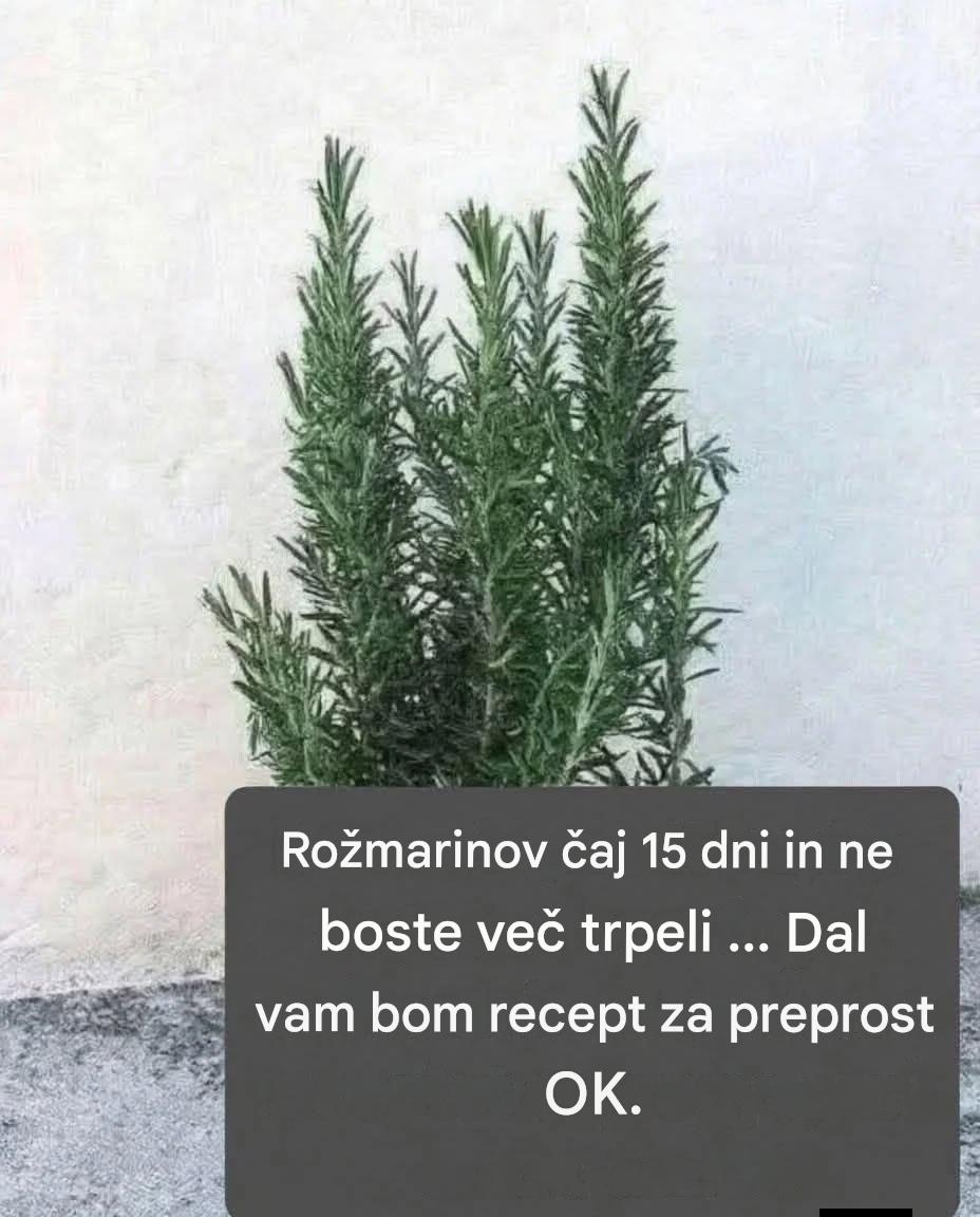 Imenuje se naravni morfij, ker lajša bolečine v mišicah in revmatičnih sklepih. Če želite še naprej prejemati moja zdravila na recept, morate le povedati …
