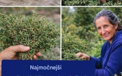 Najmočnejša rastlina, ki uničuje parazite, okužbe in še več. Dal vam bom recept za preprosto OK.