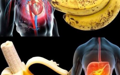 Ali ste vedeli, da uživanje banan poveča… Preberi več…