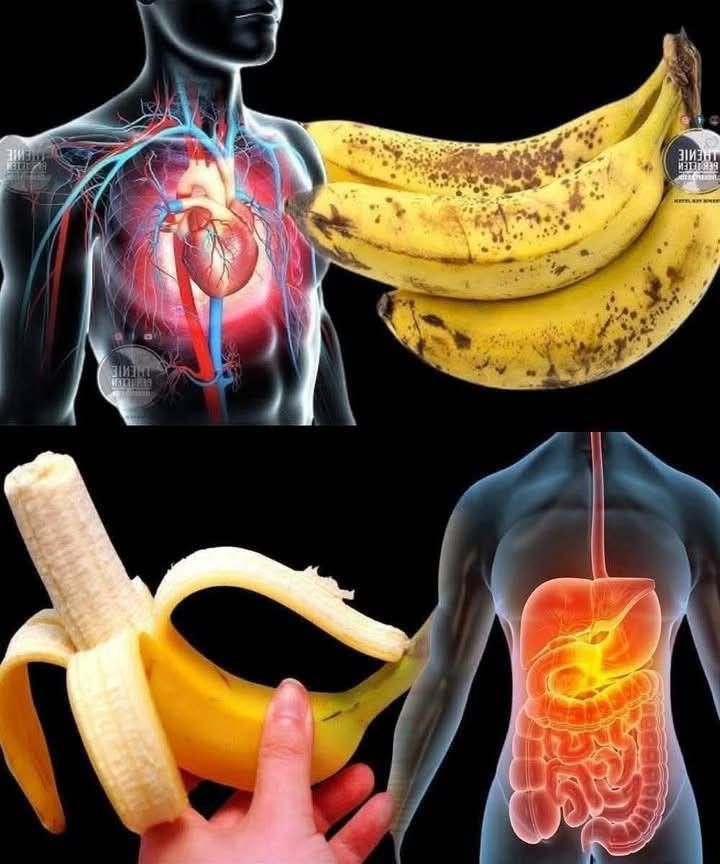 Ali ste vedeli, da uživanje banan poveča… Preberi več…