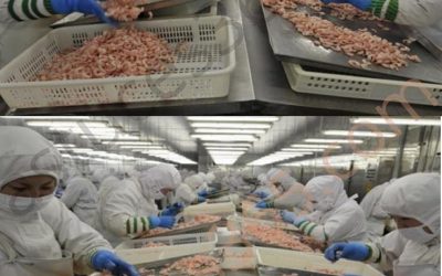 8 živil, izdelanih na Kitajskem, ki jih ne bi smeli več jesti