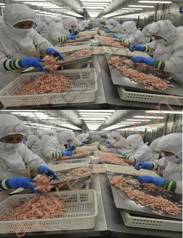 8 živil, izdelanih na Kitajskem, ki jih ne bi smeli več jesti