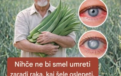 7 znanstvenih koristi aloe vere in kako jo pripraviti doma