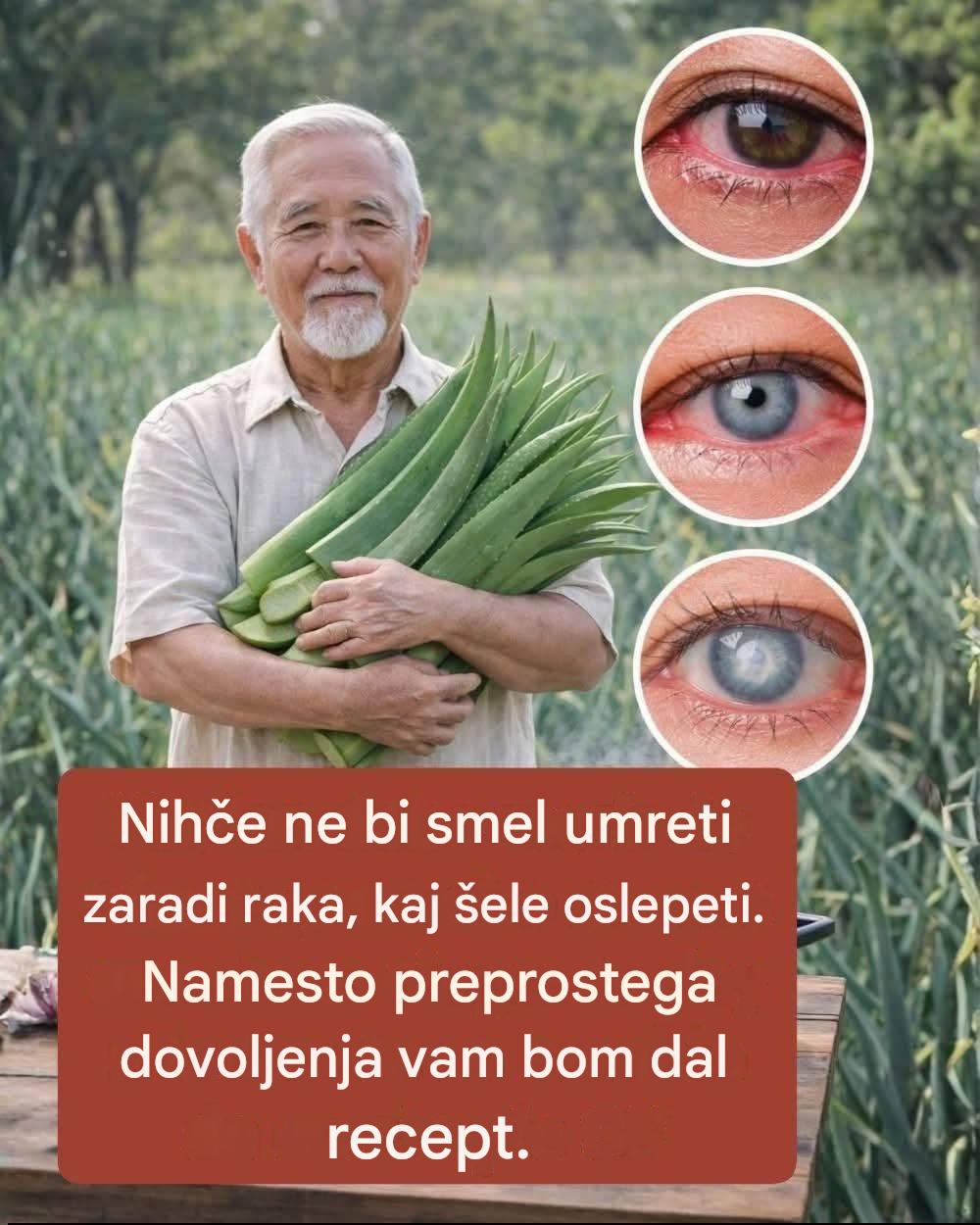 7 znanstvenih koristi aloe vere in kako jo pripraviti doma
